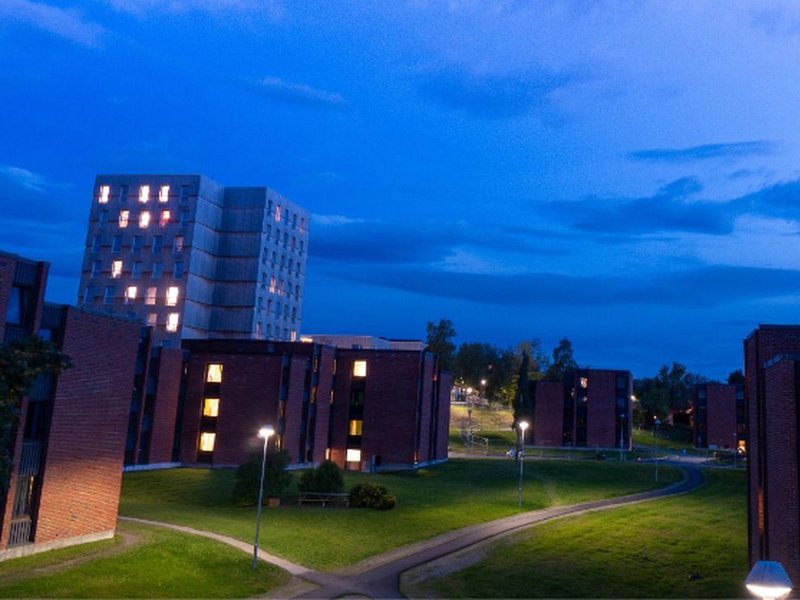Blick aus dem Fenster über Moholt in der Dämmerung; Häuser, dazwischen Wiese und Fußwege.