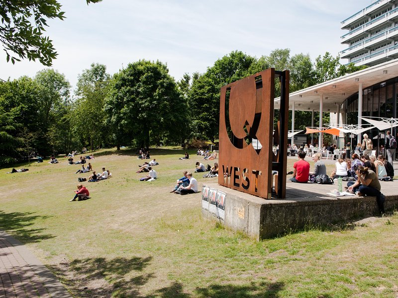 Studierende sitzen auf der Wiese, Q-West im Hintergrund